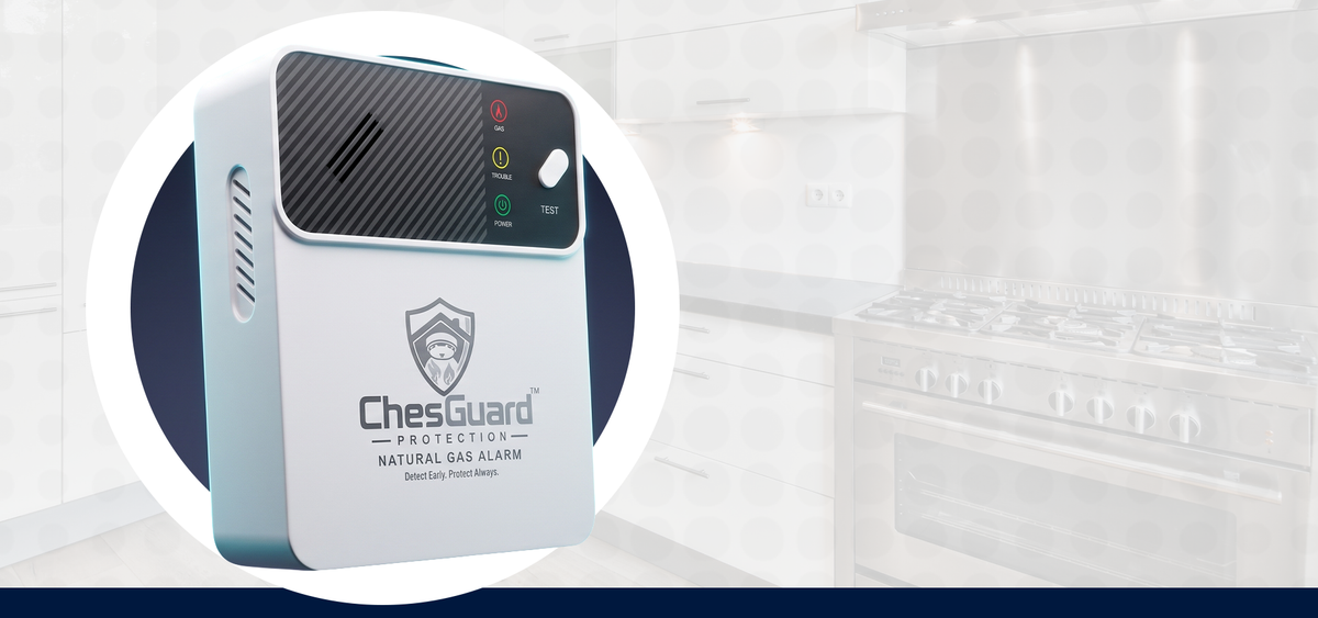 ChesGuard CG-GD1 natural gas alarm shown beside its retail packaging1621243260e1af0c20-2
