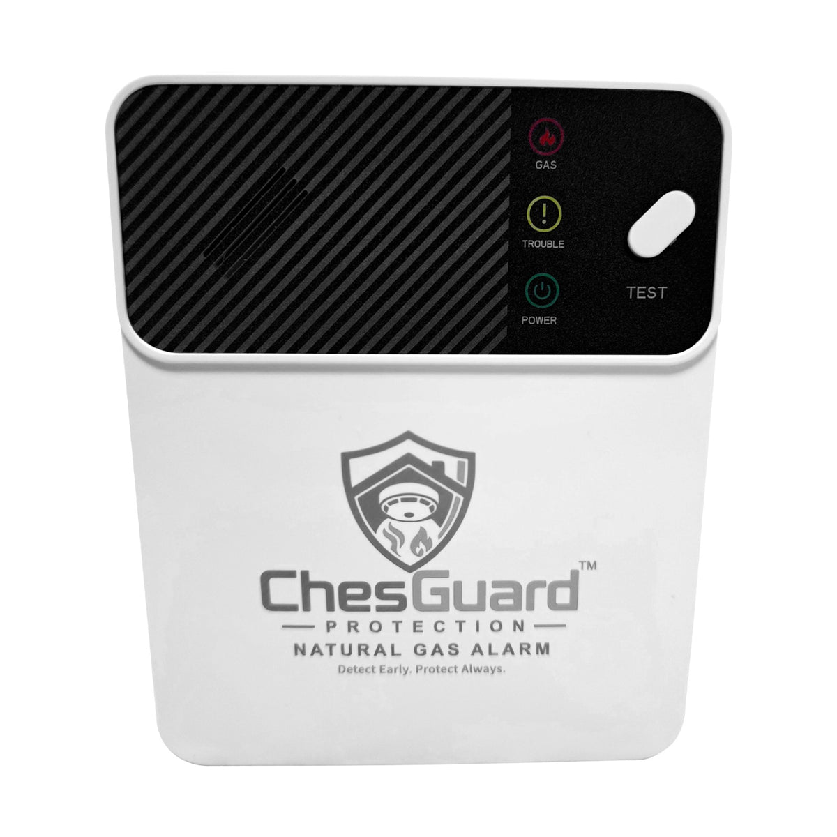 ChesGuard CG-GD1 natural gas alarm shown at a three quarter angle on a white background